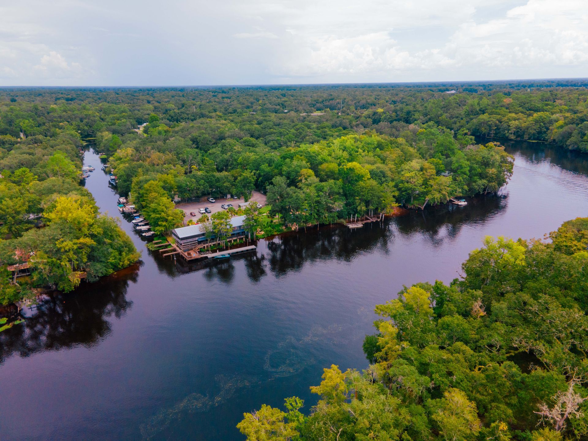 Calm dark river flowing through dense green forest under bright daylight