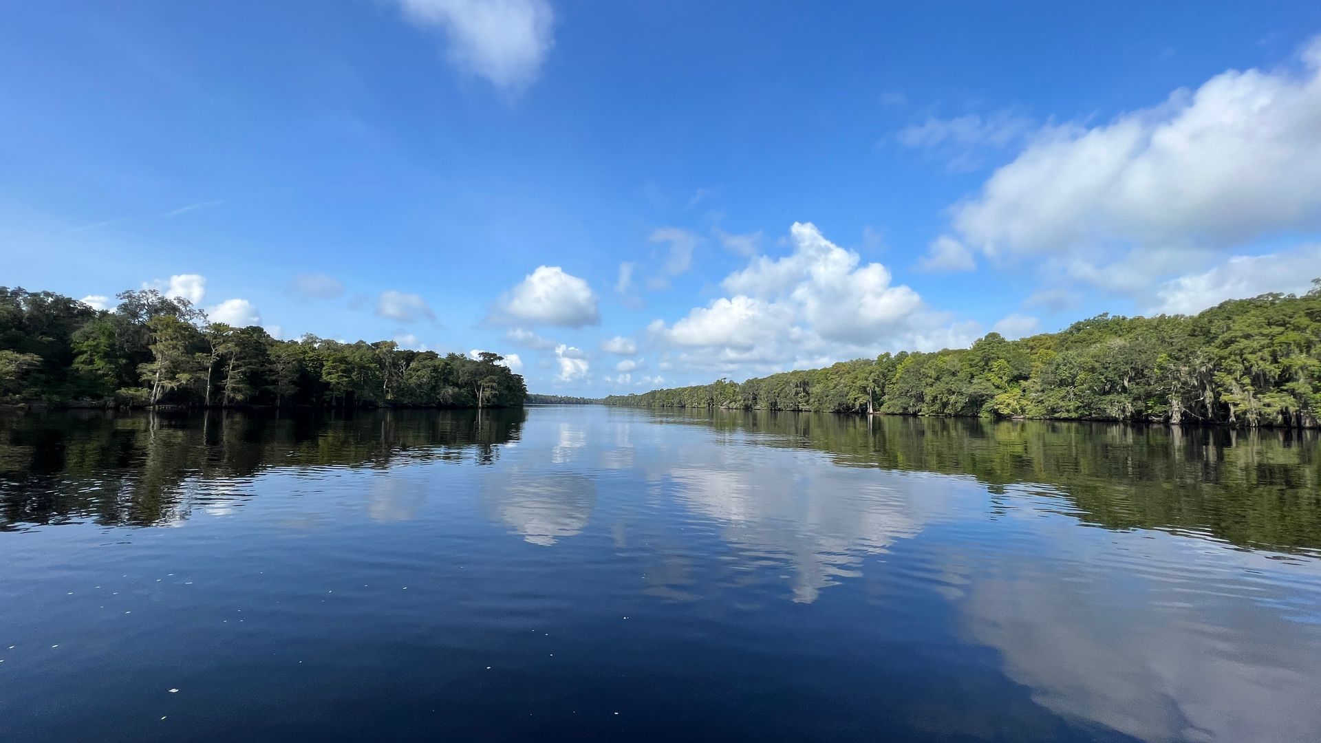 Calm Suwannee River reflecting blue sky and clouds, bordered by green trees on both banks