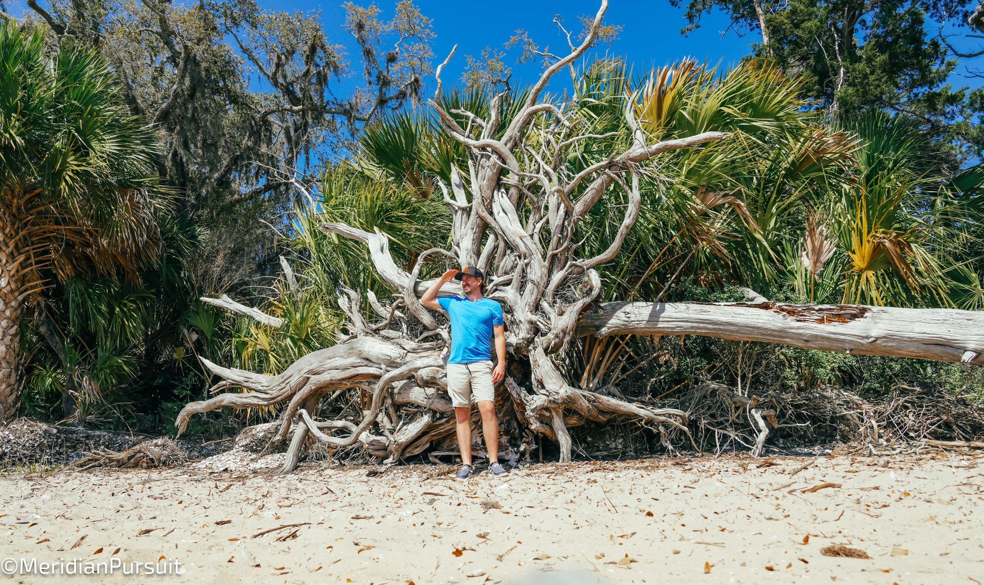A man is standing next to a large tree trunk on a beach.