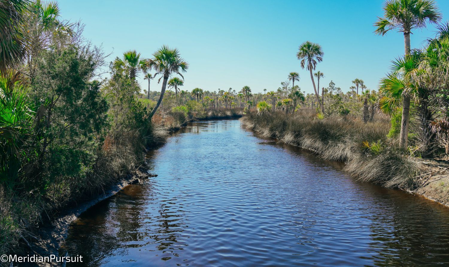 A river surrounded by trees and shrubs on a sunny day.
