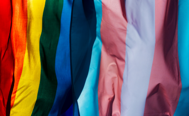 Photo of a rainbow and trans flag