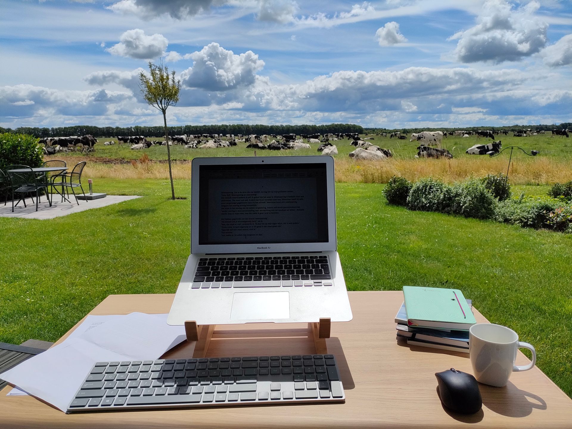 Schrijver Dick Laning aan het werk aan een roman, met een schilderachtig natuurlandschap op de achtergrond