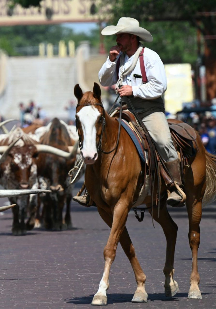 A man in a cowboy hat is riding a brown horse in Fort Worth, Tx