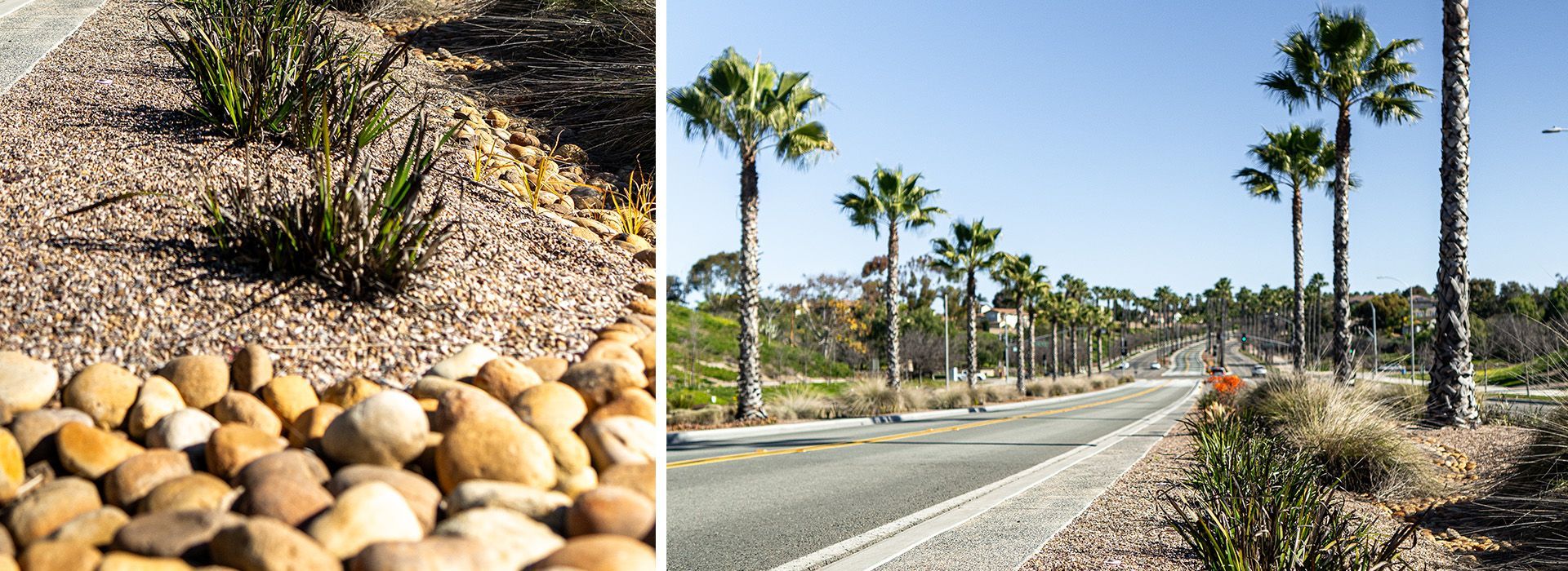 10 unique landscaping ideas