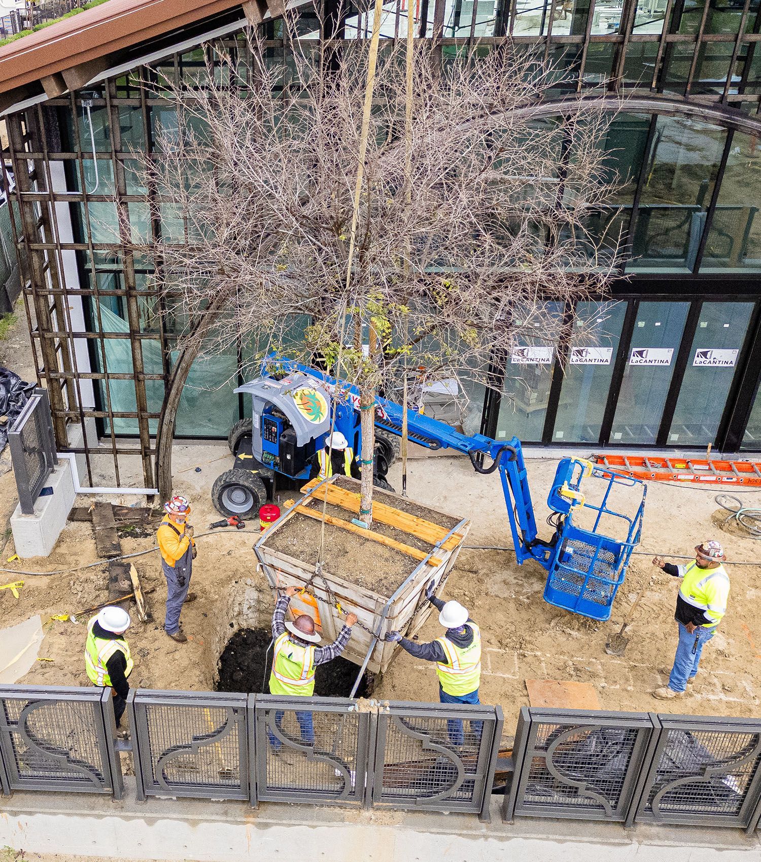 A group of construction workers are planting a tree in front of a building.