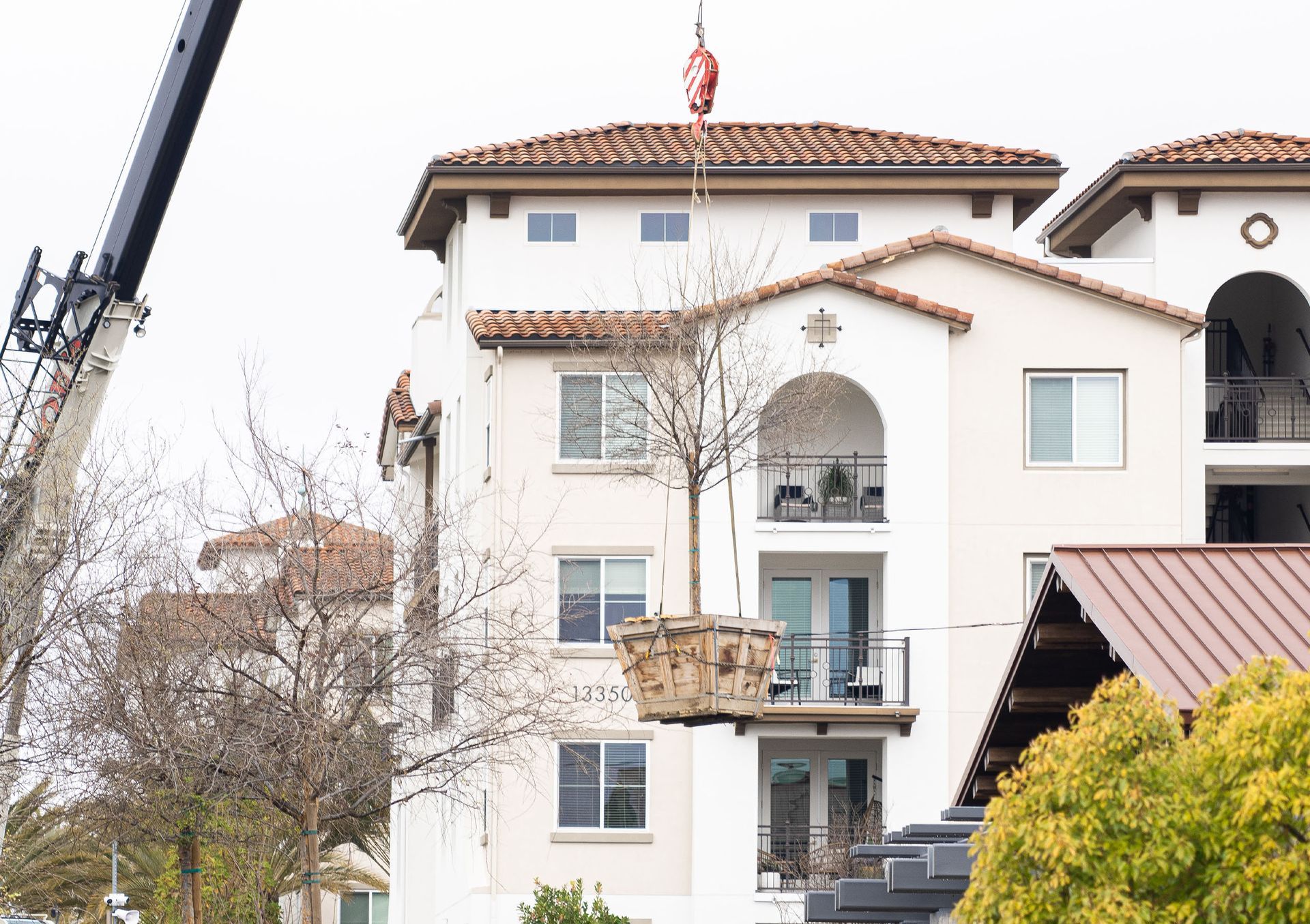 A crane is lifting a tree into a building.