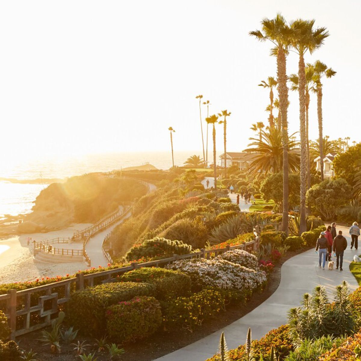 A group of people are walking down a path next to palm trees.