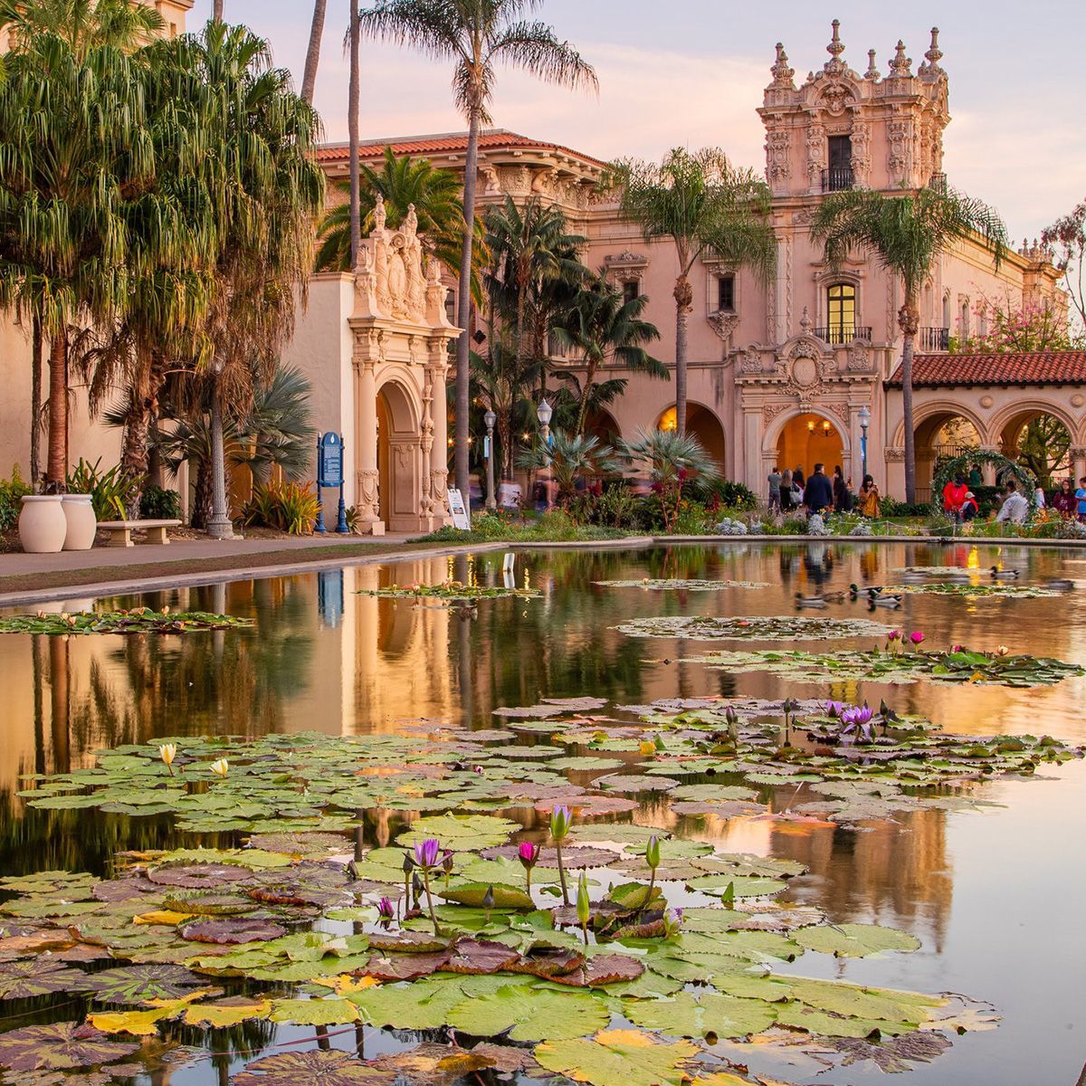 A pond with lily pads in front of a building