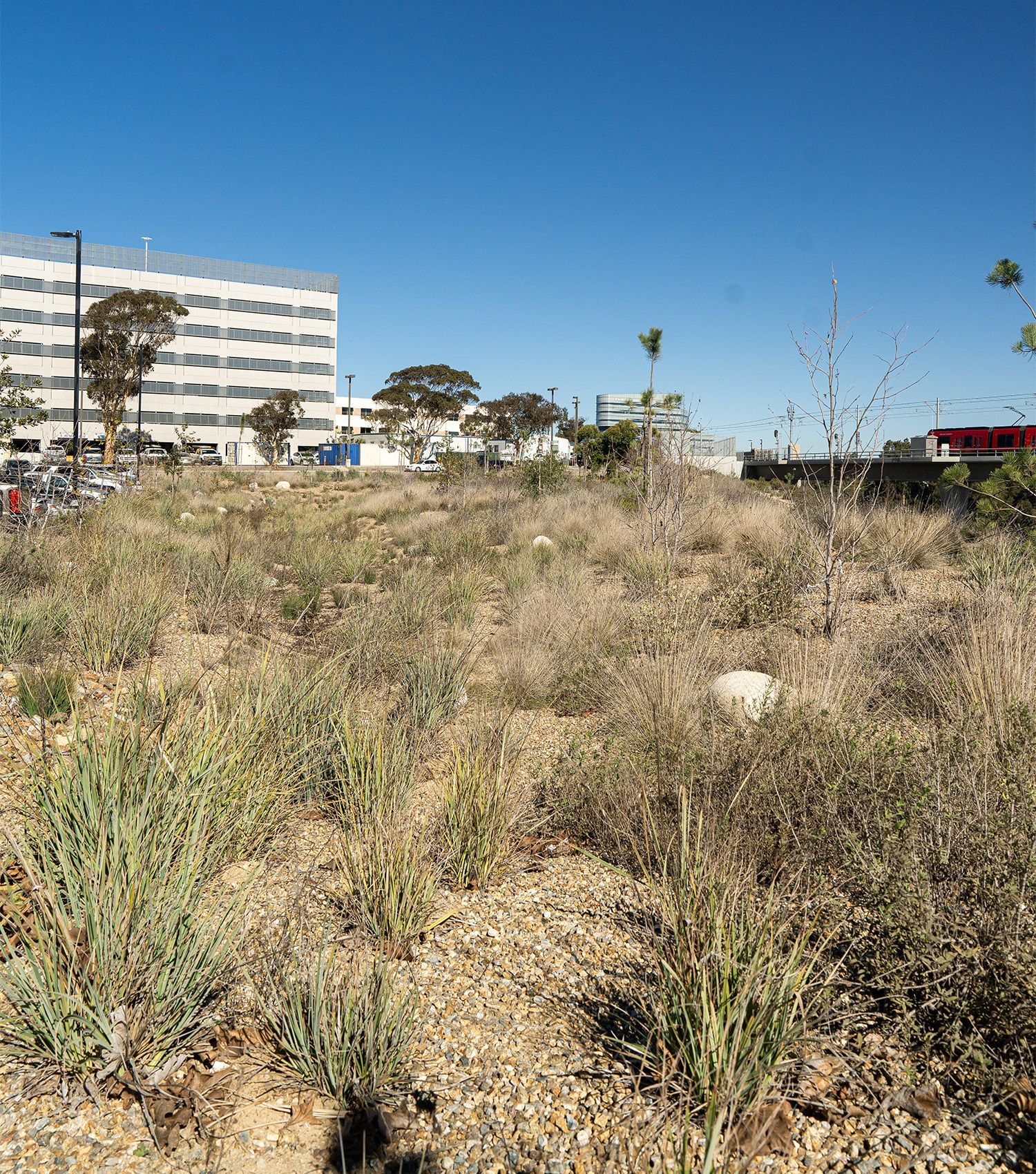 A large building is visible in the distance behind a field of grass.