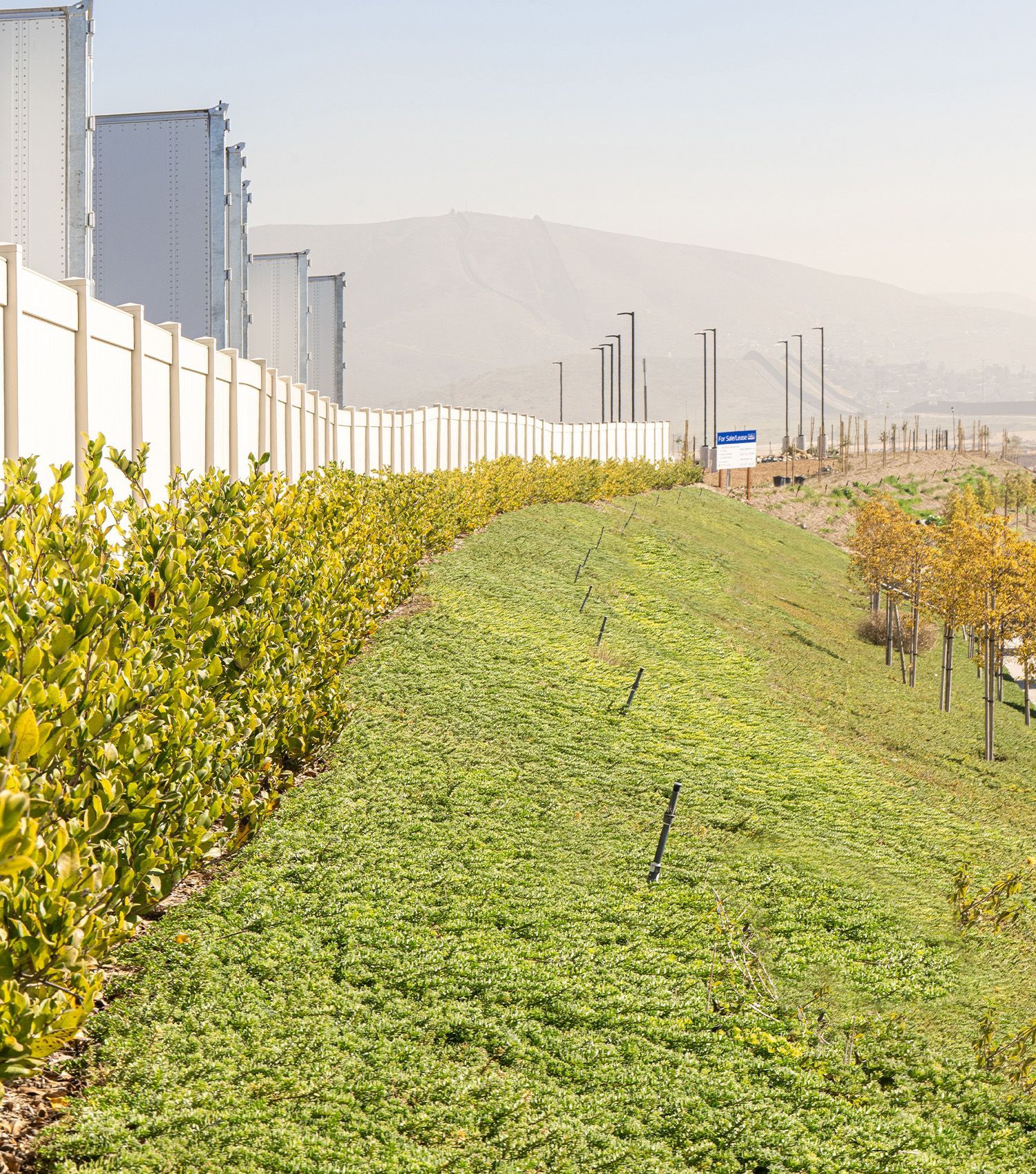 A lush green field with a white fence in the background