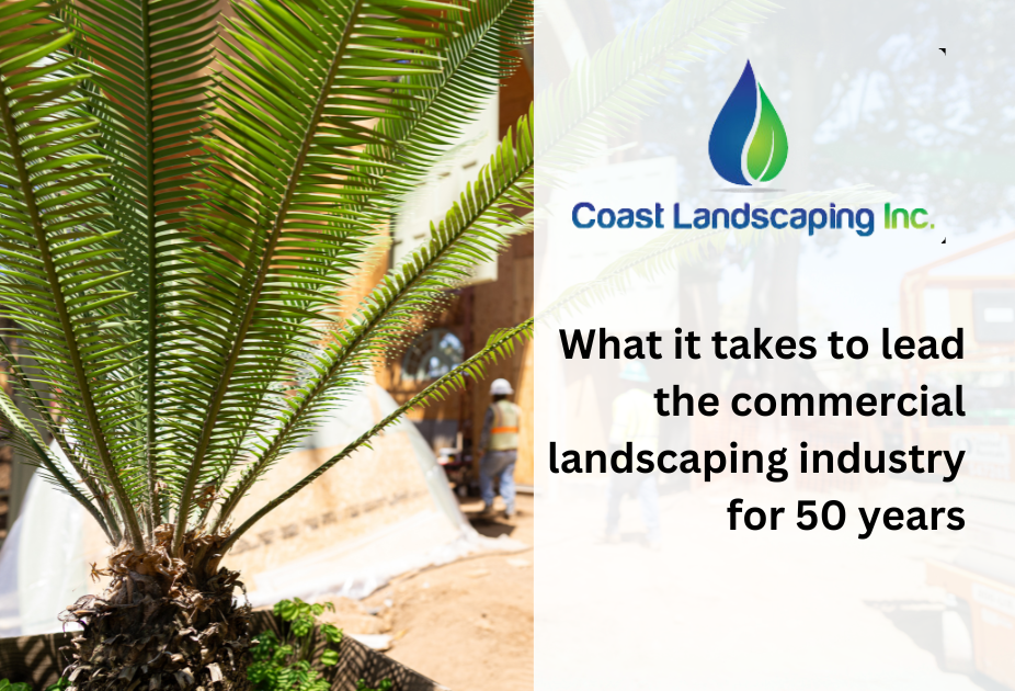 What it takes to lead the commercial landscaping industry for 50 years