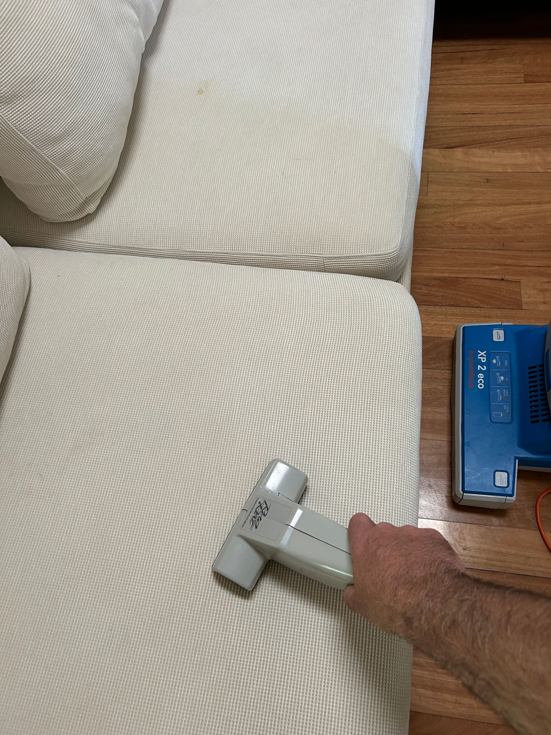 A Person Wearing Blue Gloves is Cleaning a Mattress With a Brush — Rugrats Carpet Cleaning Service In Charlotte Bay, NSW