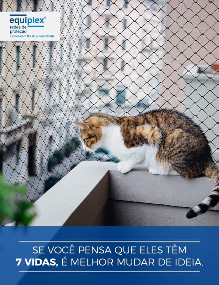 Gato em uma varanda, estendendo a mão através de uma cerca em direção a outra; texto do anúncio em português abaixo.