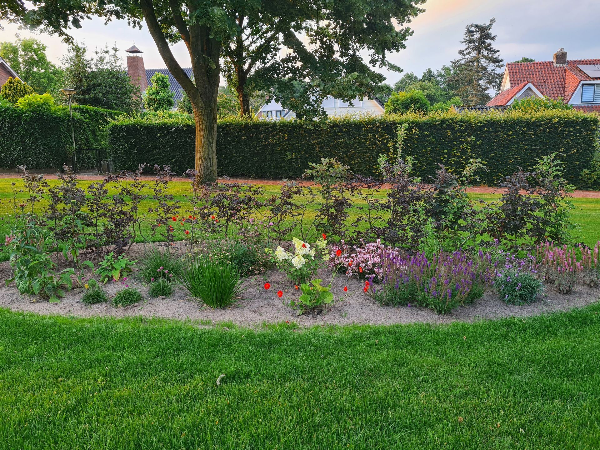 Hier is mooie beplanting te zien