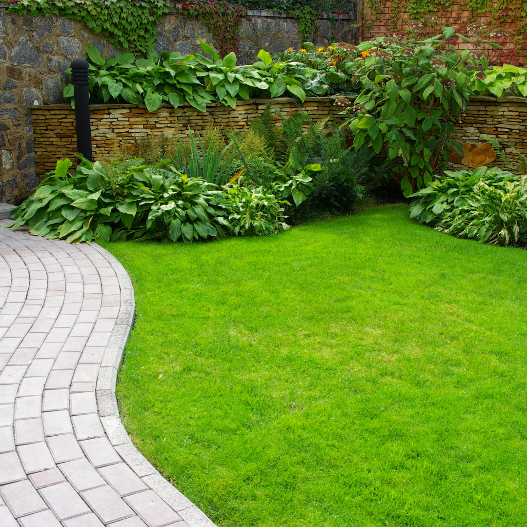 Bos tuin