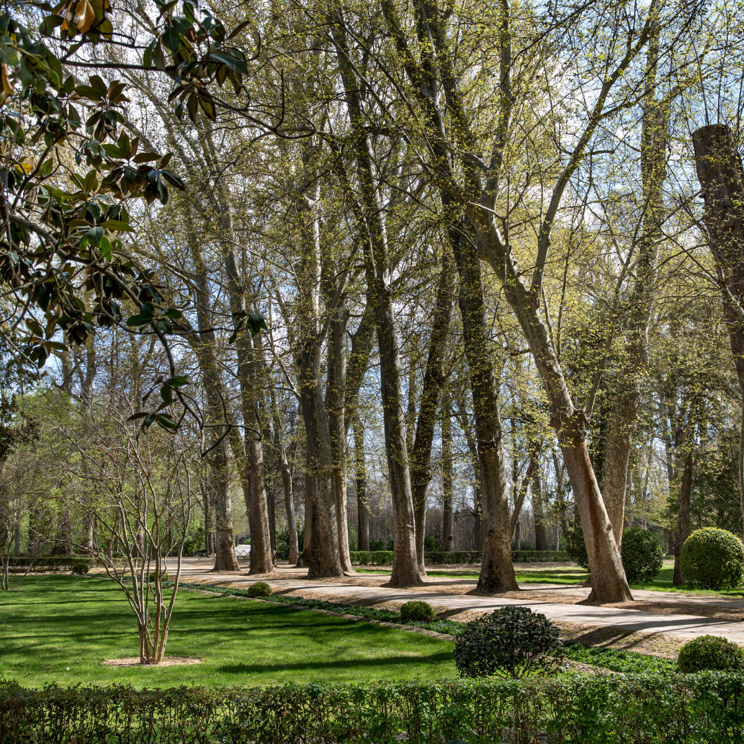 Landelijke tuin