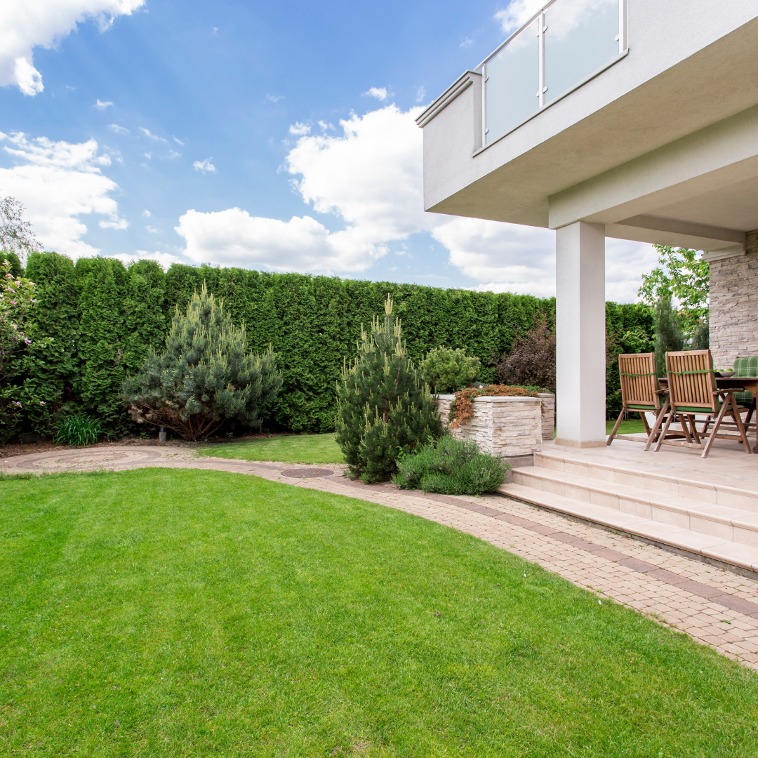 Moderne tuin