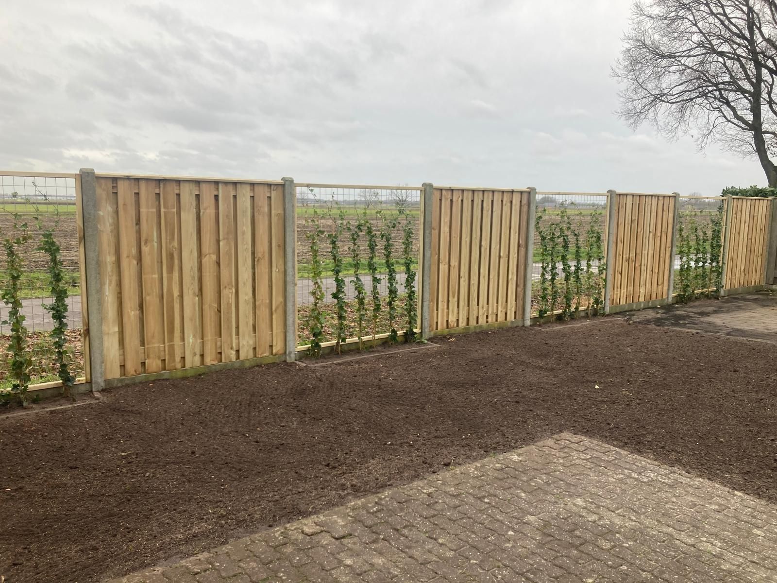 Plaatsen schutting met betonpalen in Westerhaar