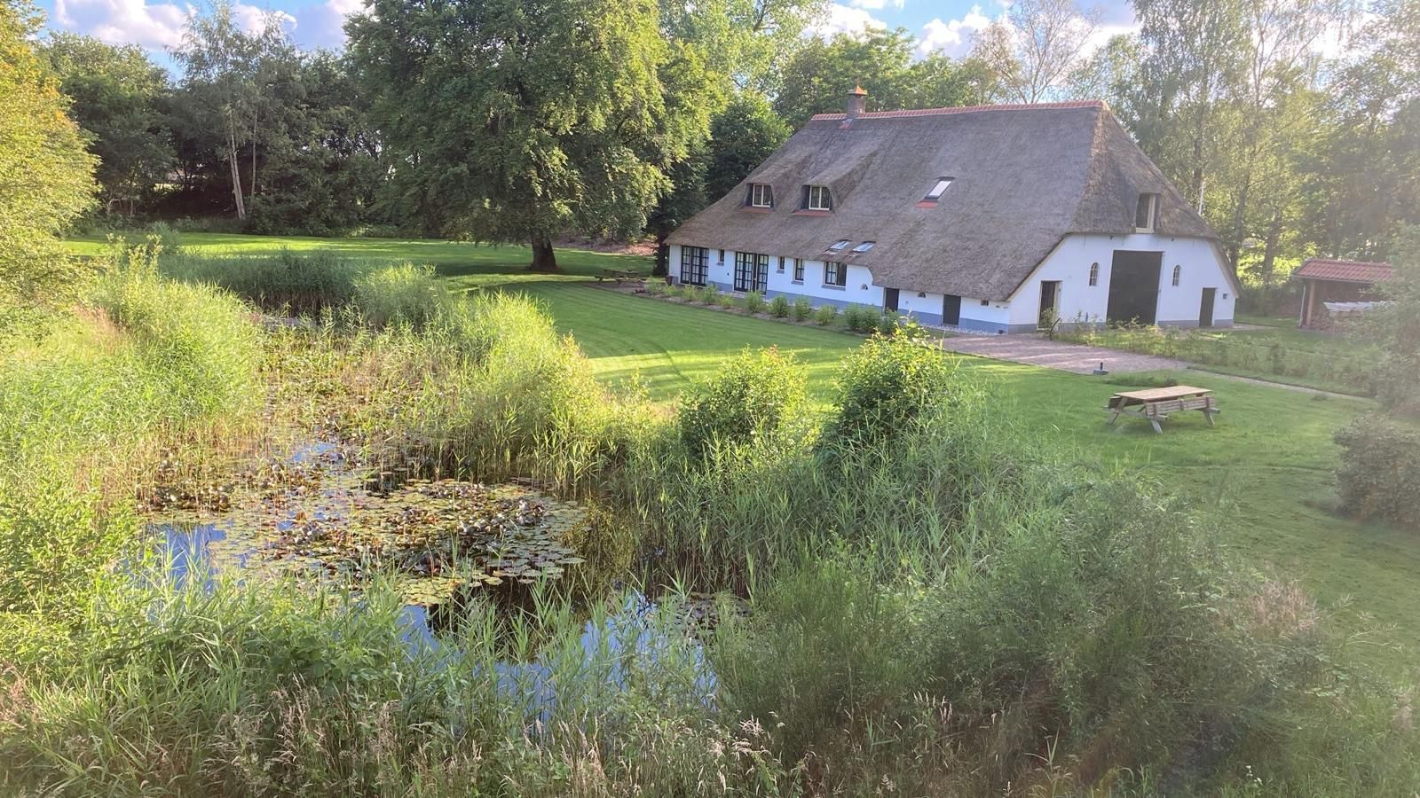Onderhoud tuin met natuurvijver