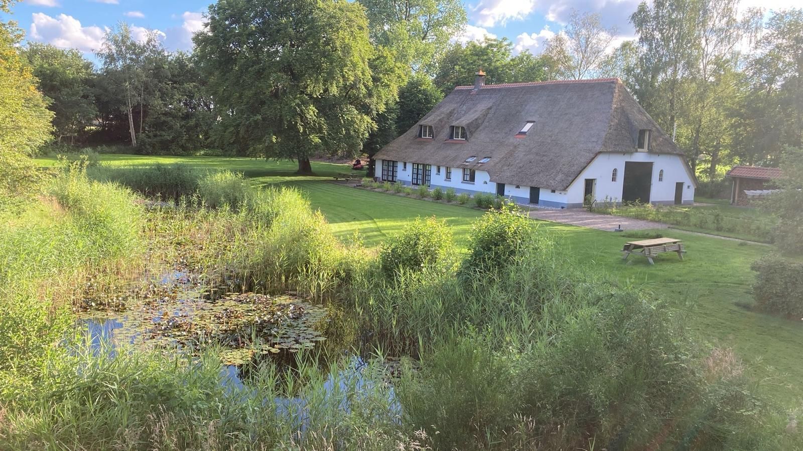 Onderhoud tuin met natuurvijver