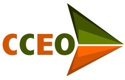 A logo for cceo with an orange and green arrow