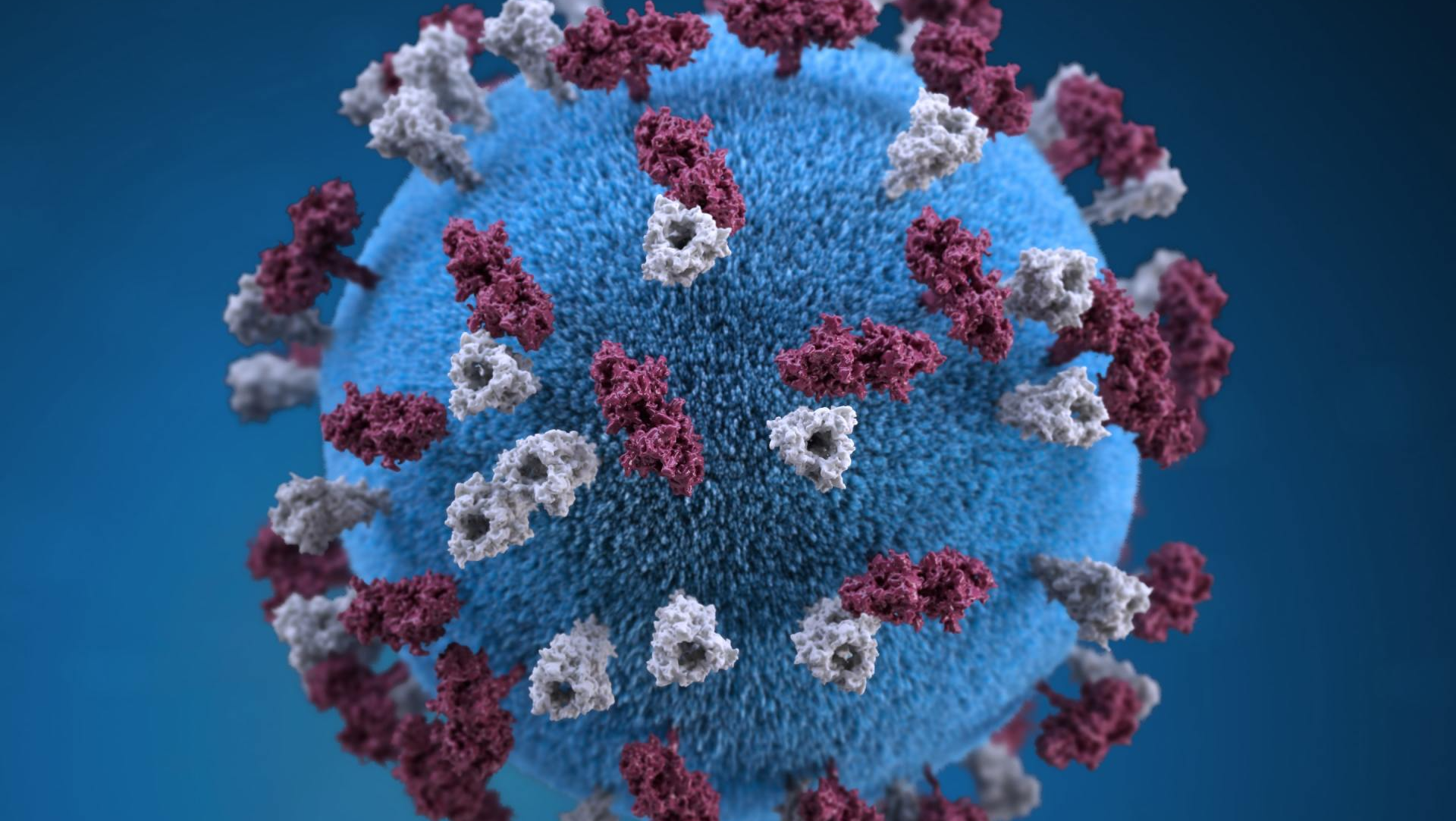 A close up of a blue and red virus on a blue background.