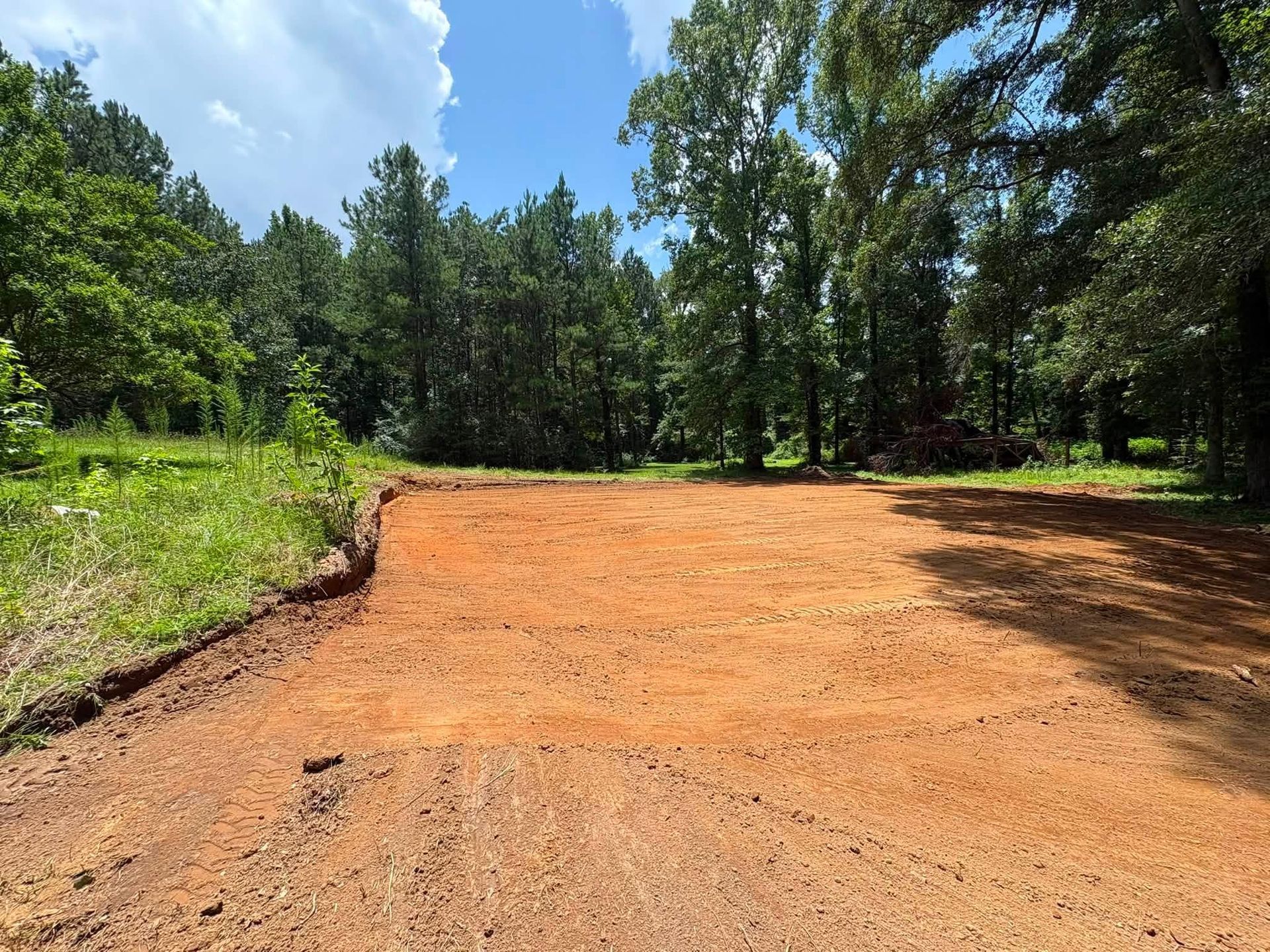 Dirt road clearing in a wooded area under a bright blue sky
