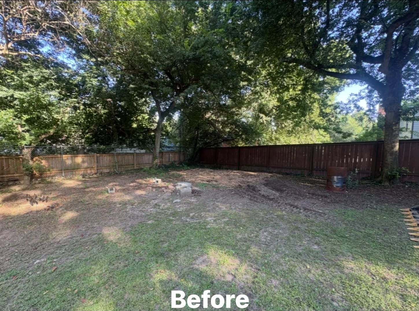 Backyard with large trees, grass, and a wooden fence in a shaded, sunny setting.