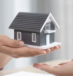 Granny Flat in the News