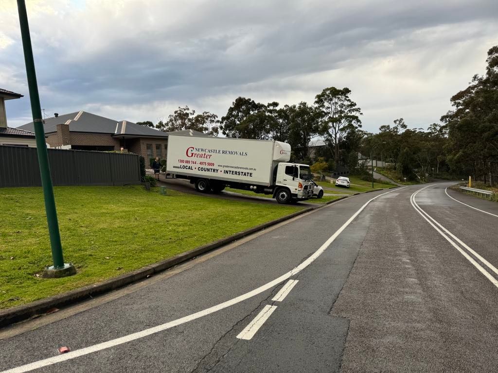 Truck parked on grassy roadside beside a curving road under cloudy sky
