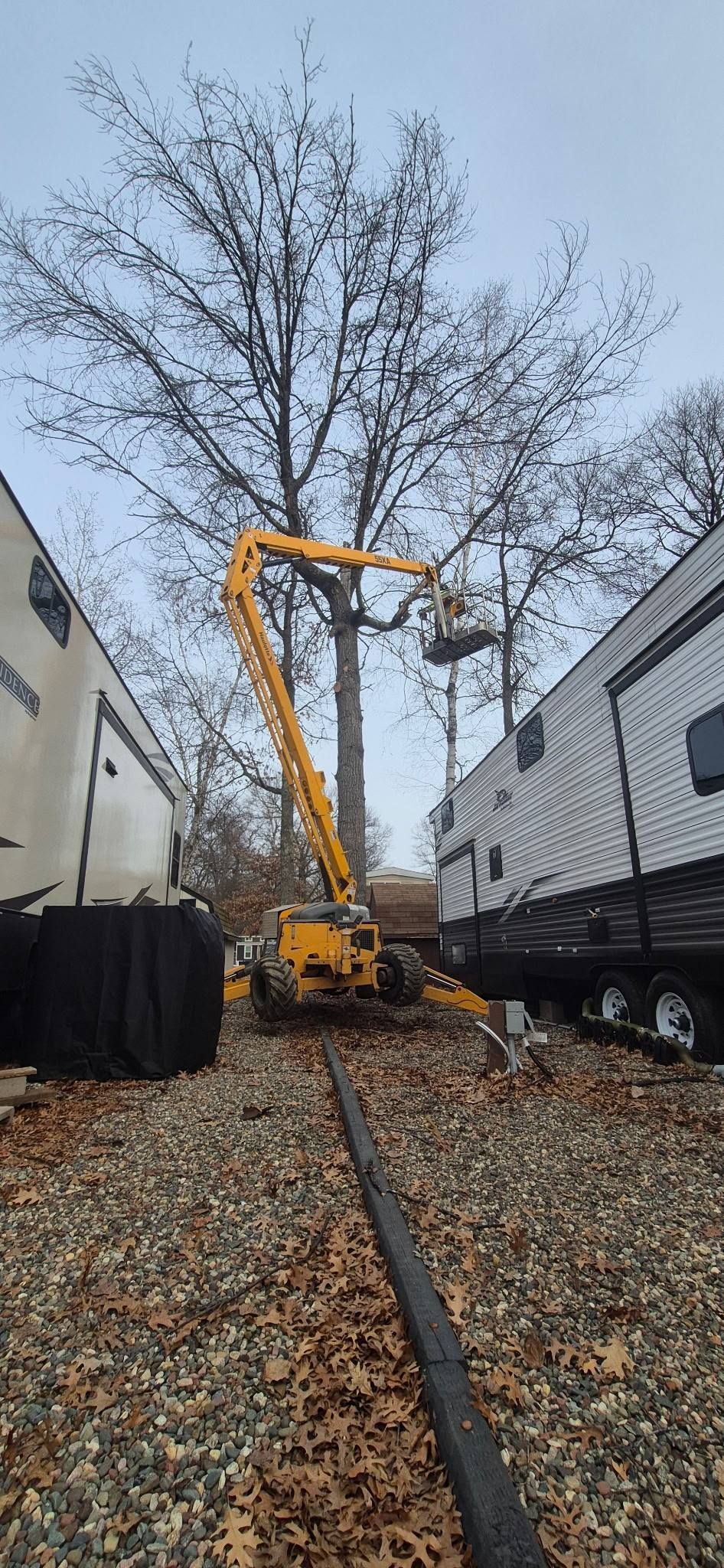 Yellow cherry picker between two houses in a leaf-covered alley, reaching up toward a tree with bare branches.