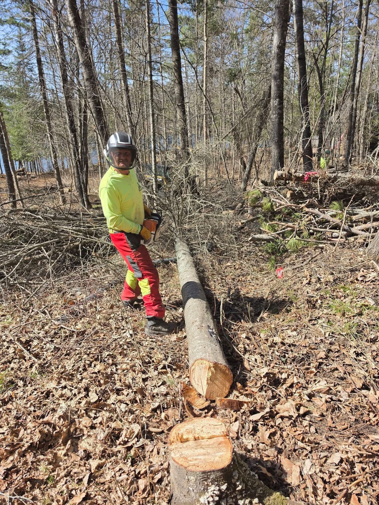 Person in bright safety gear standing beside a freshly cut log in a wooded area.