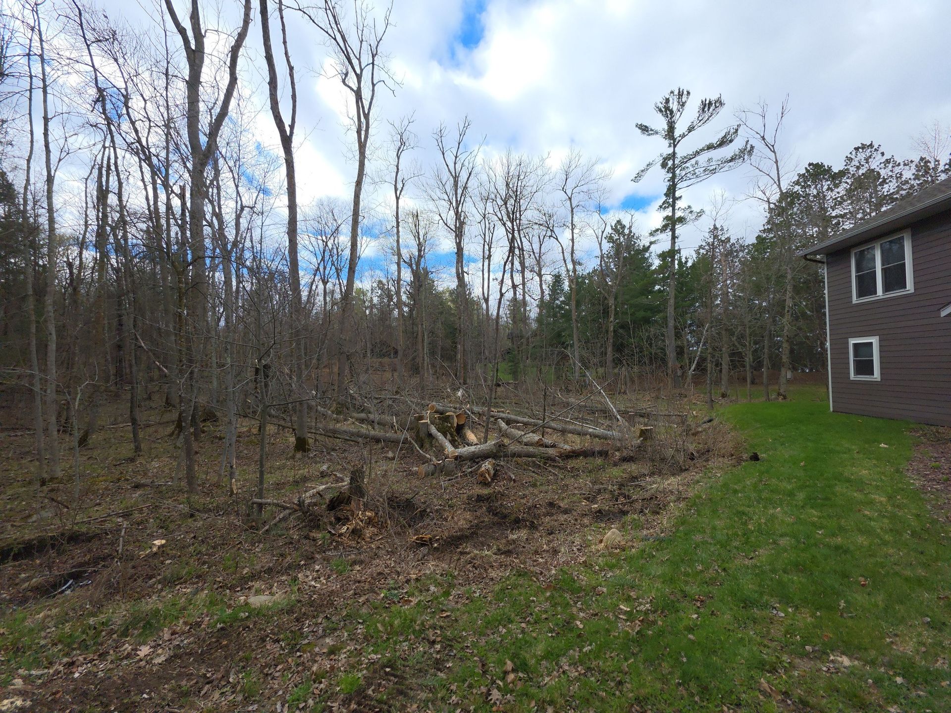 Wooded lot with cut trees beside a brown house and grassy yard under a cloudy sky