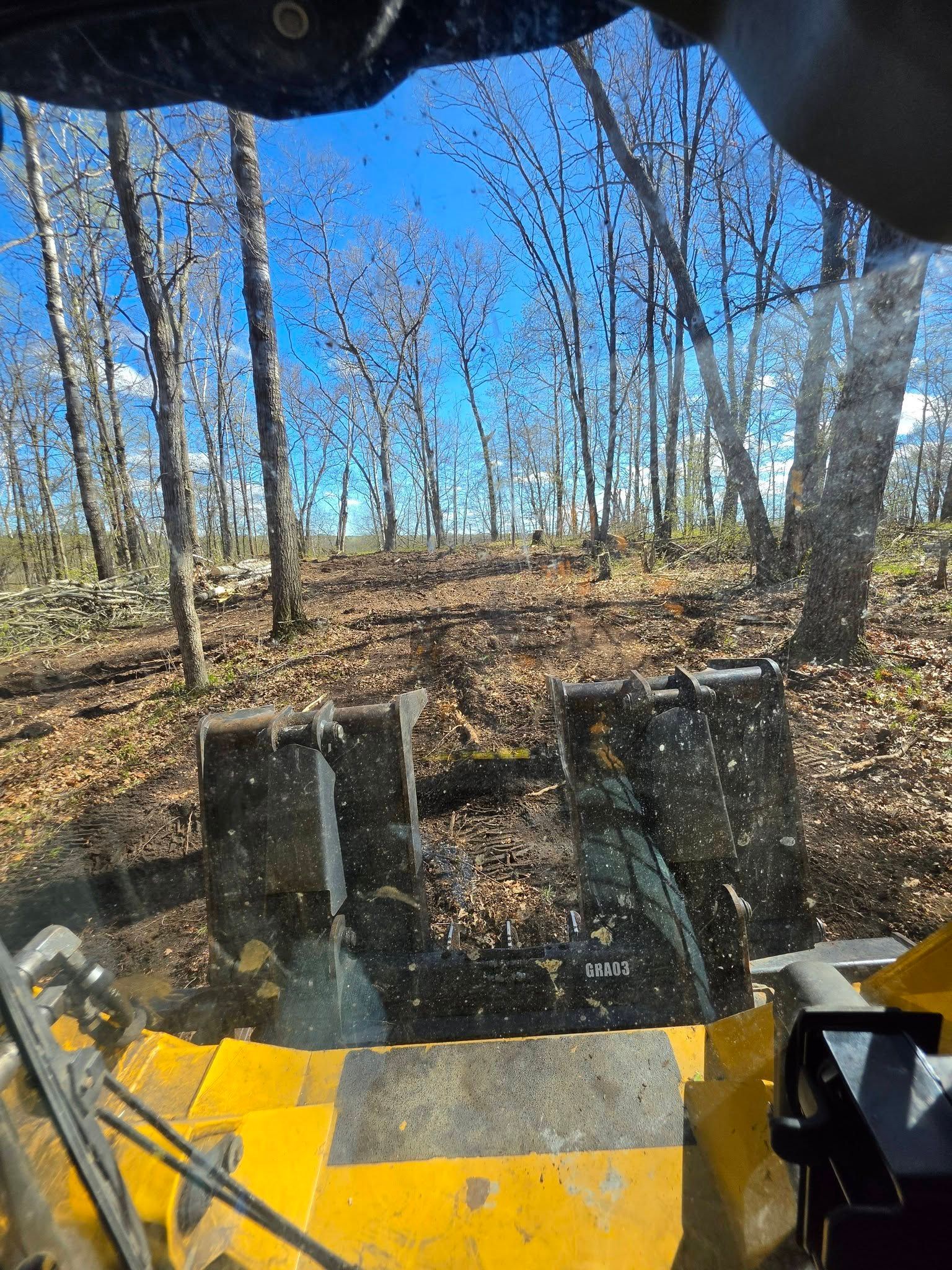 View from a yellow construction vehicle in a leafless wooded area on a sunny day