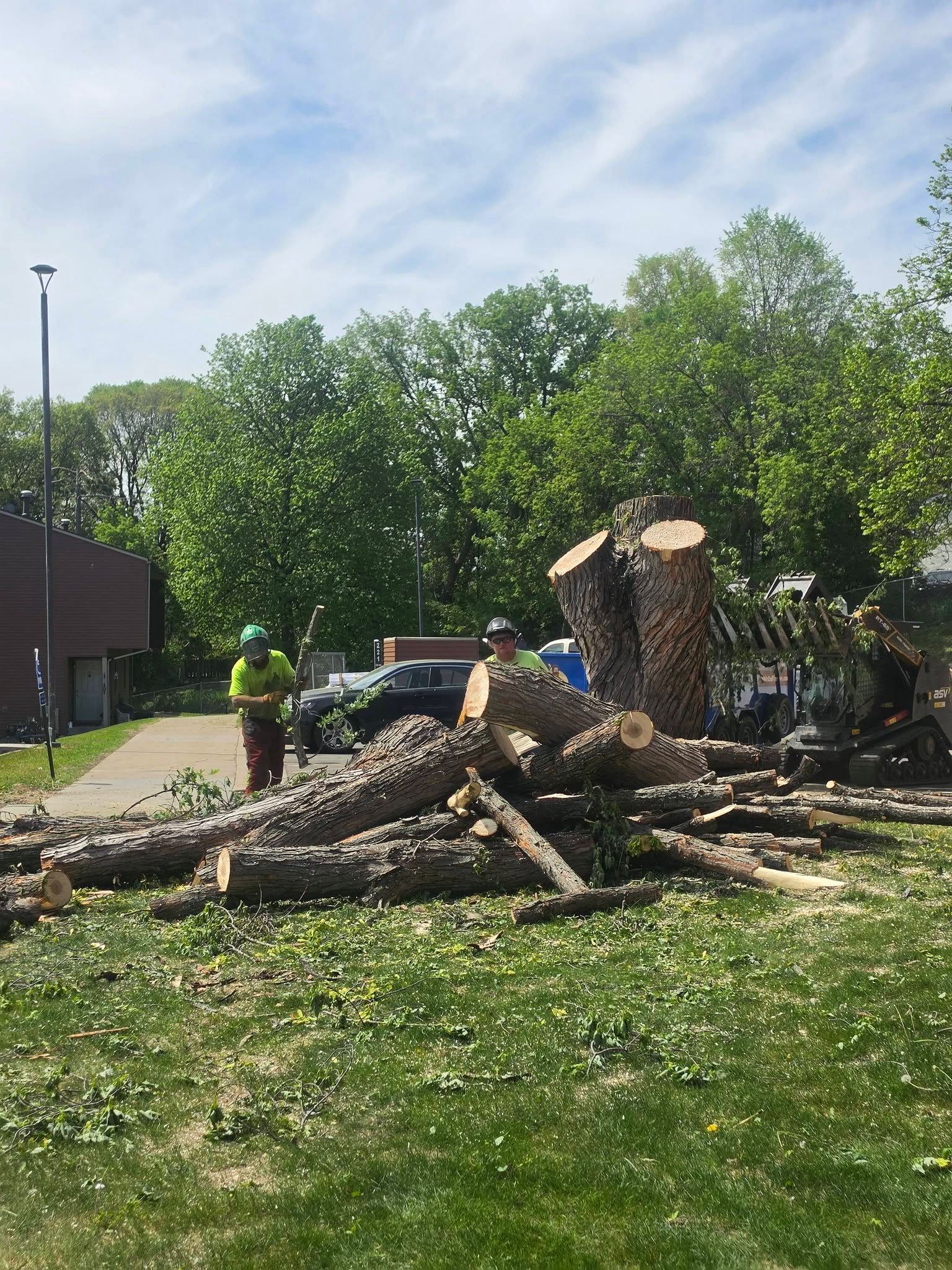 Workers clearing a large fallen tree pile in a sunny yard beside a building