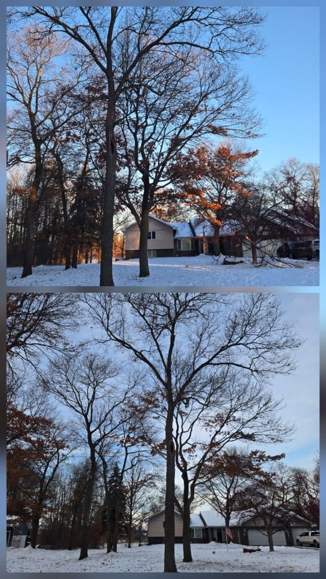 Snowy park with leafless trees and a house in the background at dusk