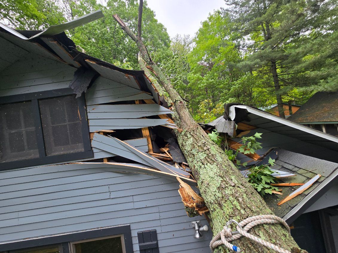 Large tree fallen across a gray house, damaging the roof and siding