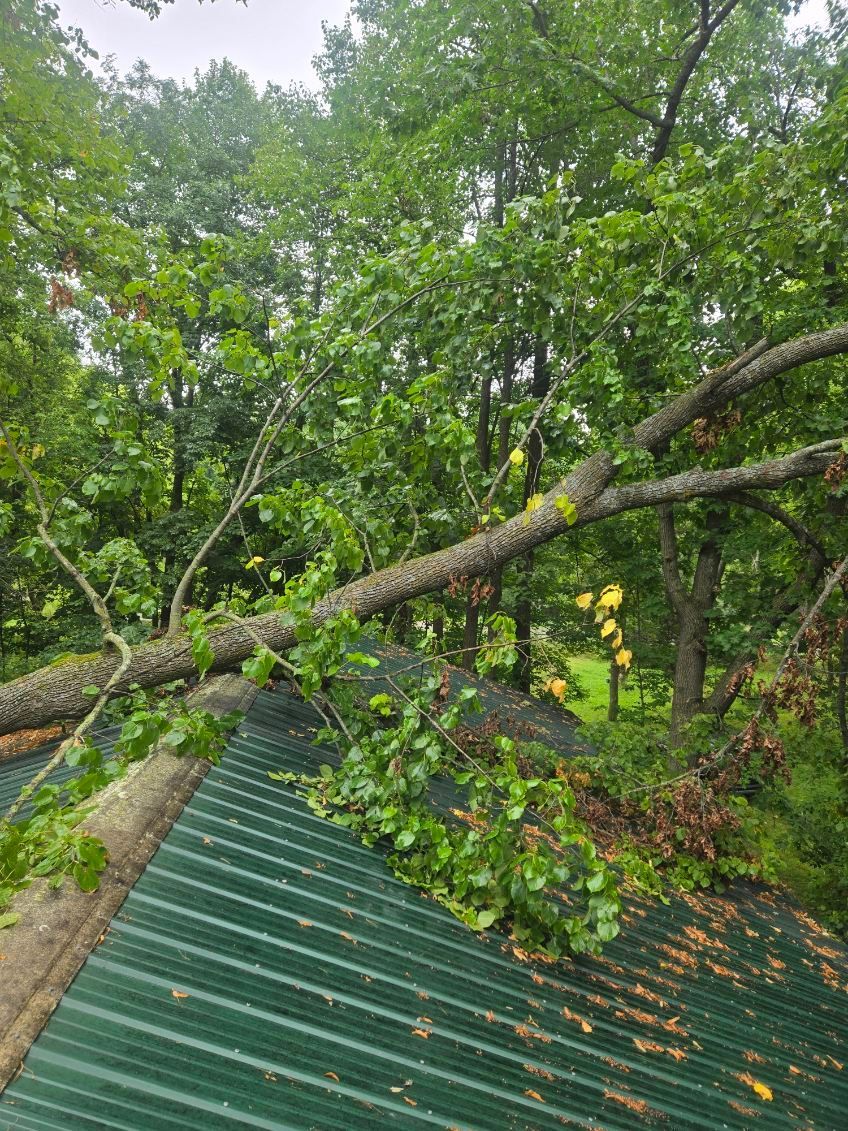 Fallen tree limb across a green metal roof amid dense green foliage after a storm