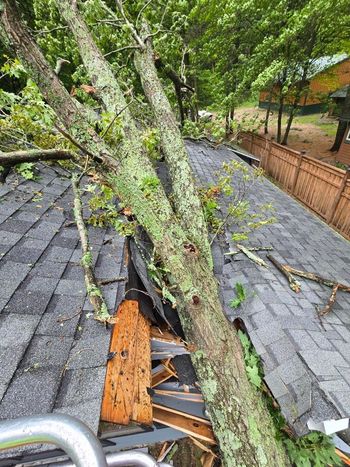 Storm-damaged roof with a large tree fallen across gray shingles and a hole in the roof
