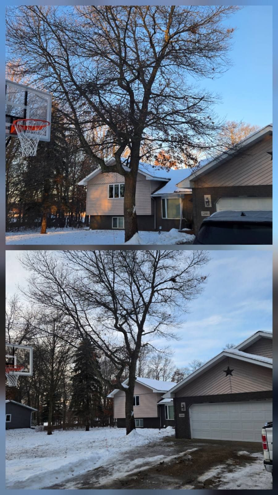 Snowy suburban house and bare tree shown in before-and-after winter photos, one with snow-covered ground.