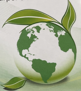 Cleaning Service Template Cleaning Service Template