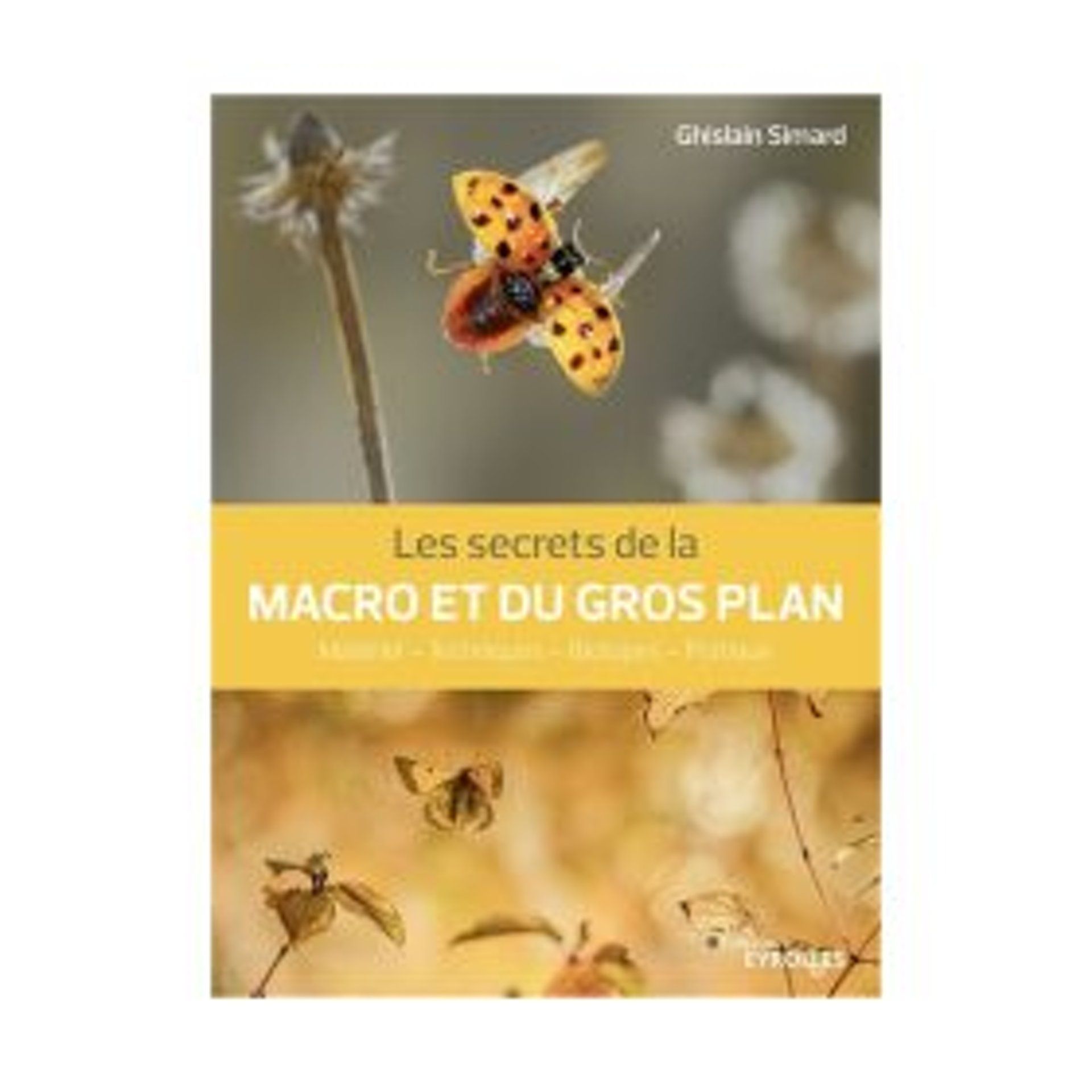 Les secrets de la macro et du gros plan