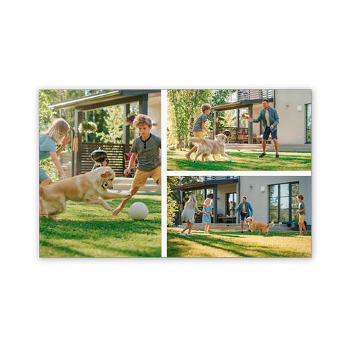 A collage of four photos of a family playing with their dogs.