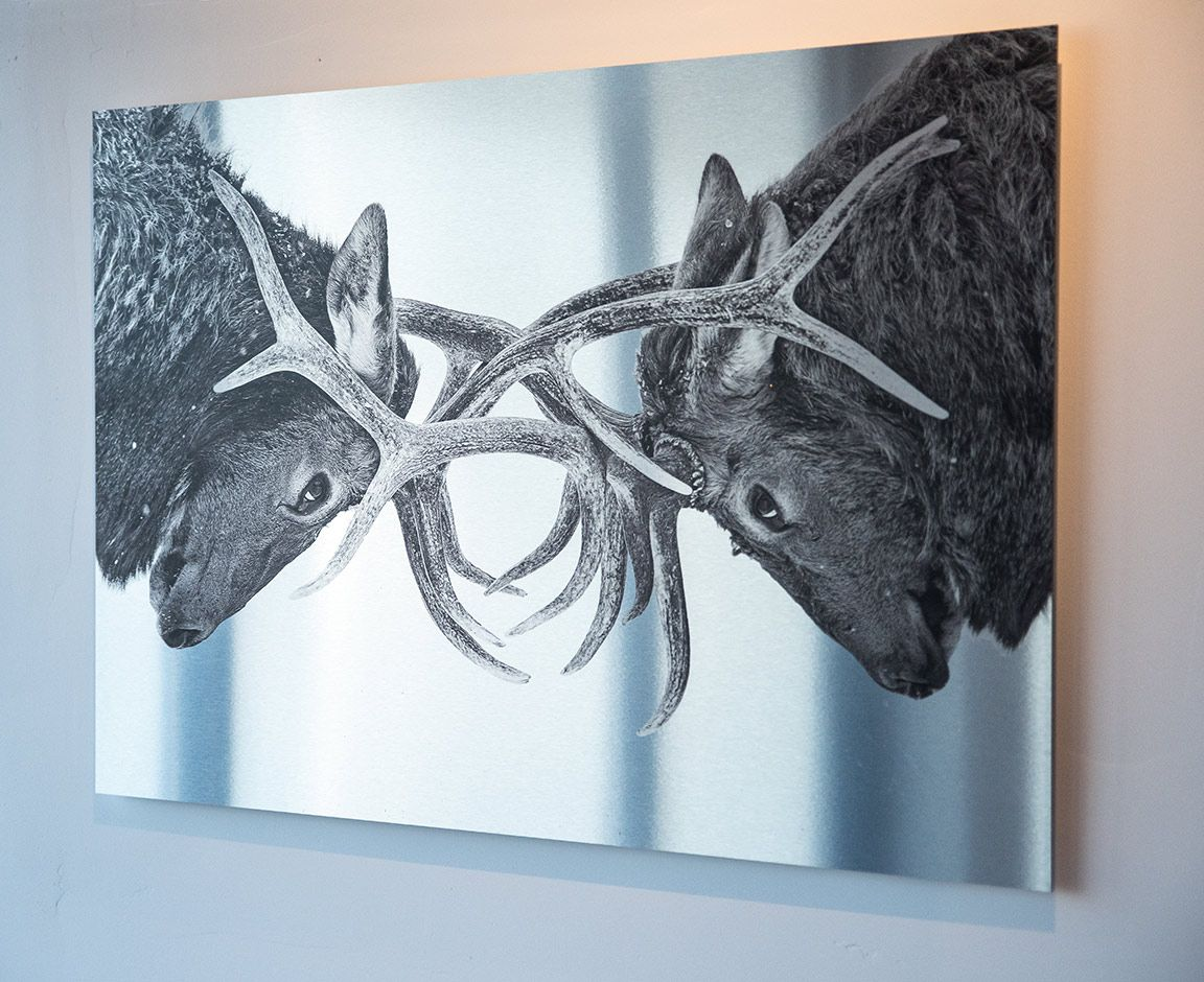 Impression photo sur aluminium métal.