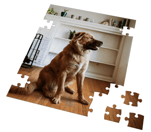 A photo puzzle with a dog sitting on a wooden floor in a living room.