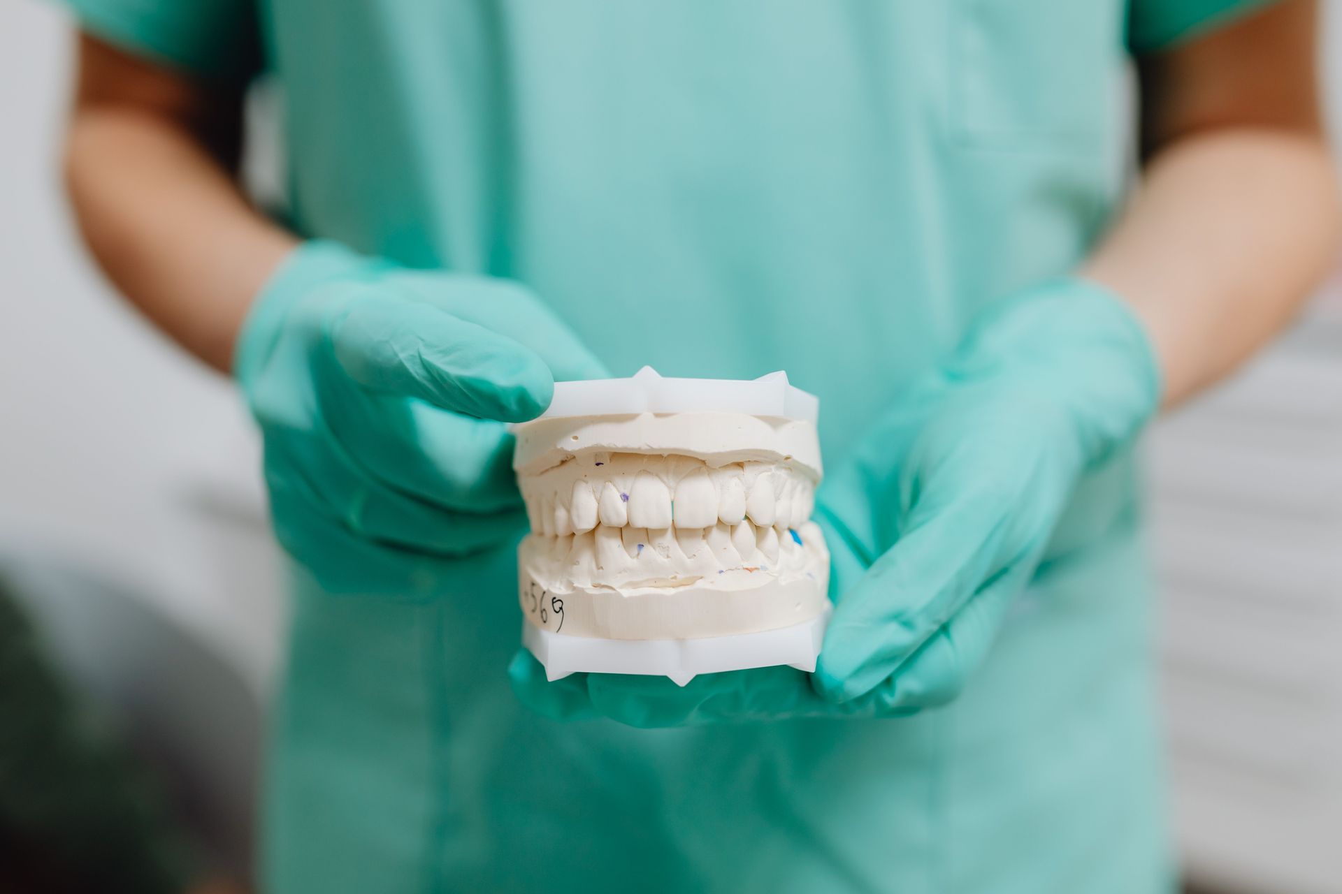 Dentist holding model of gums and teeth showing a properly aligned set a teeth