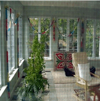 A Picture Of A Plants In The Living Room — Millersville, MD — Chesapeake Construction, Inc.