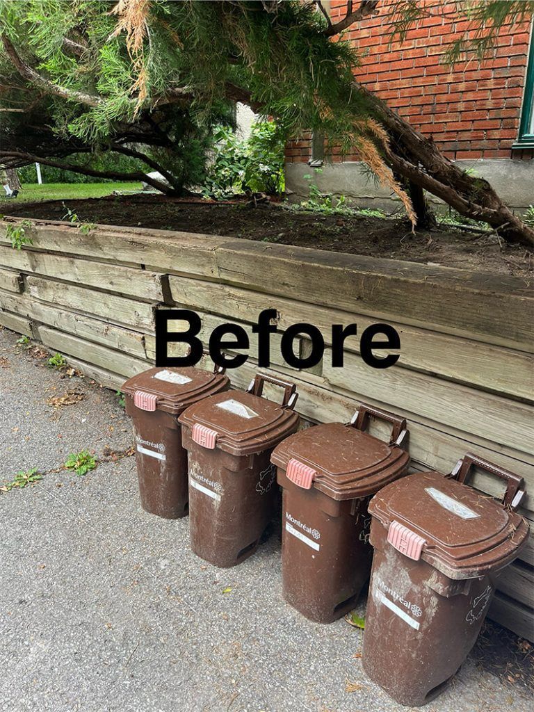 A row of trash cans are lined up in front of a fallen tree.