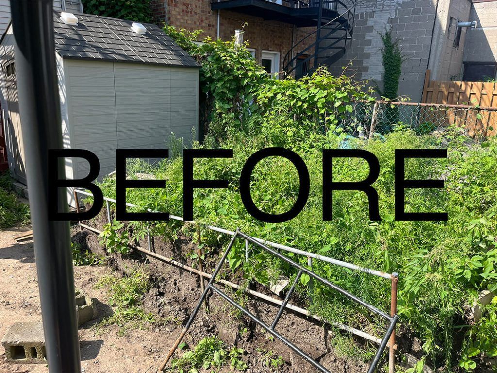 A picture of a garden with the words `` before '' written on it.