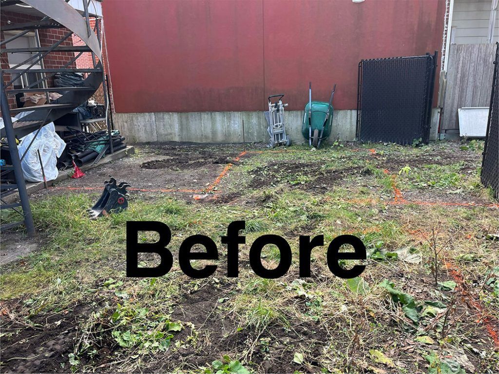 A picture of a backyard before being cleaned.